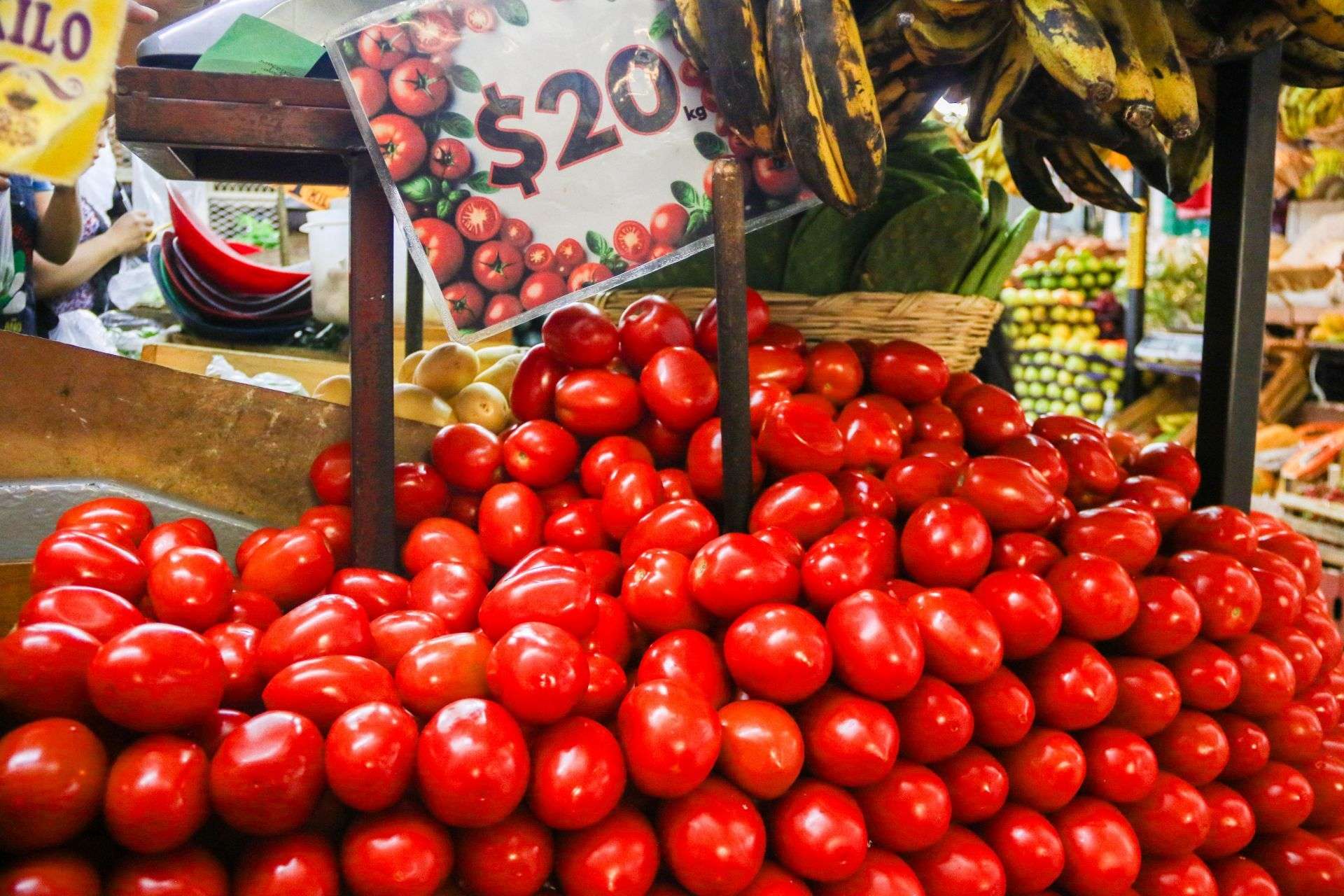 México fija precios mínimos de exportación para tomate