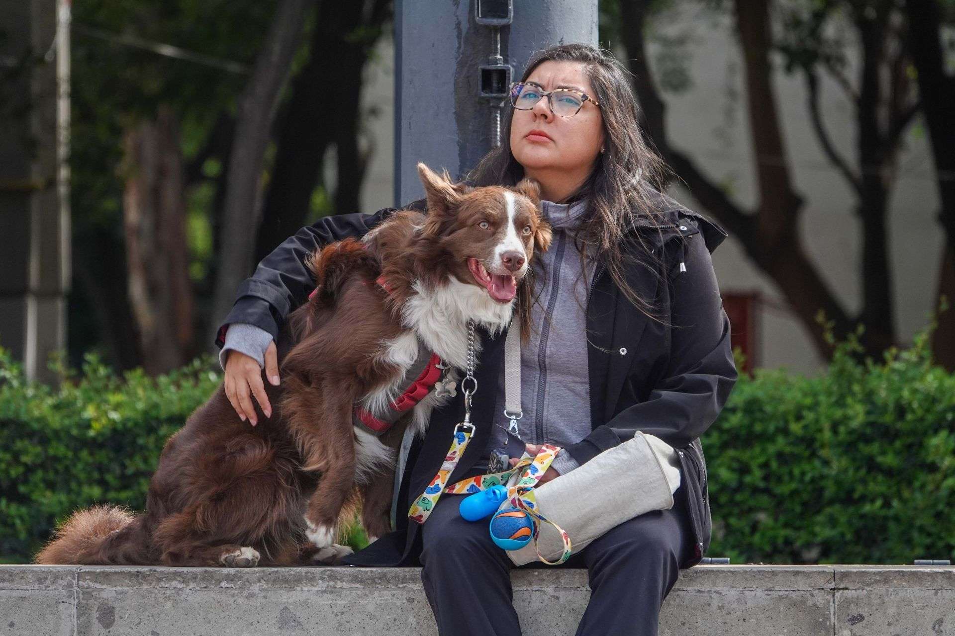 Crece negocio de crematorios de mascotas en CDMX
