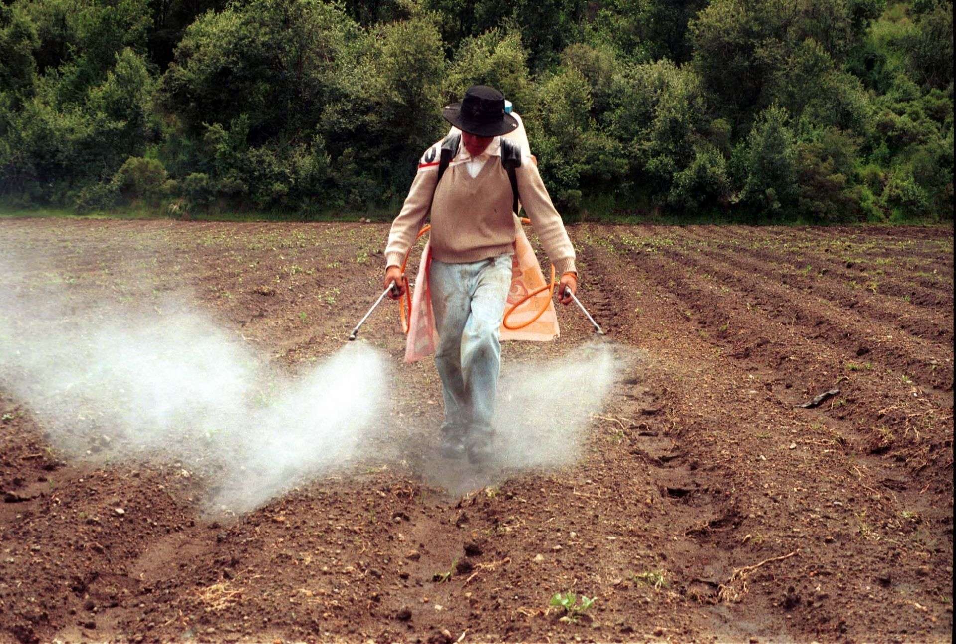 México prohíbe el uso de 35 plaguicidas altamente dañinos